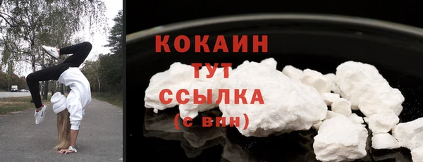 дживик Коряжма