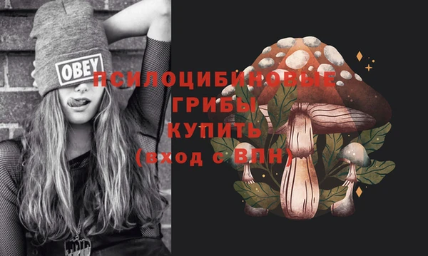дживик Коряжма