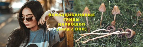 дживик Коряжма