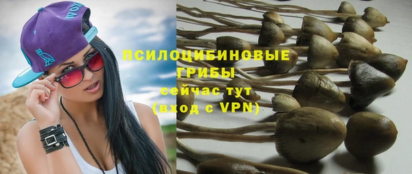 молекула духа Корсаков