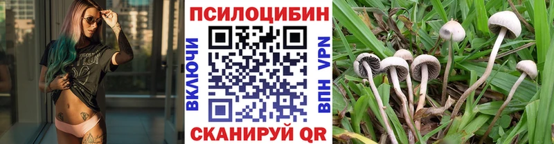 Псилоцибиновые грибы Cubensis Якутск